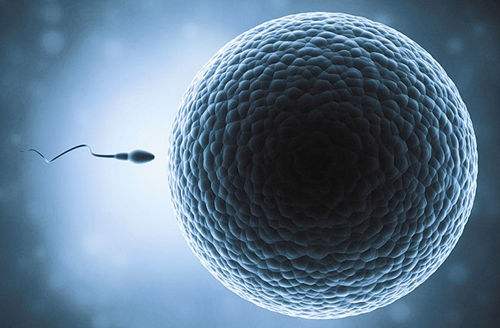 美国试管婴儿技术好吗？致所有迷茫的难孕育家庭！