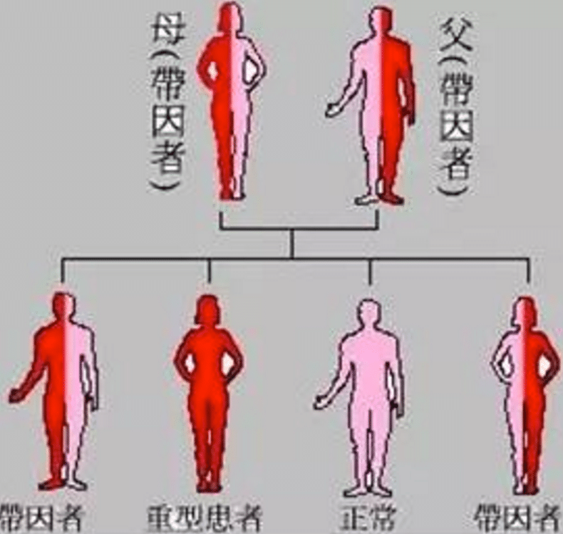 不抱怨命运不公，地中海贫血夫妻实现生育梦！