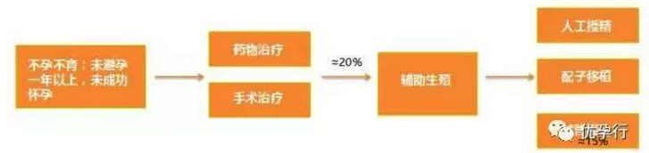 辅助生殖市场火爆，互联网备孕中心激增，海外试管婴儿较热门！