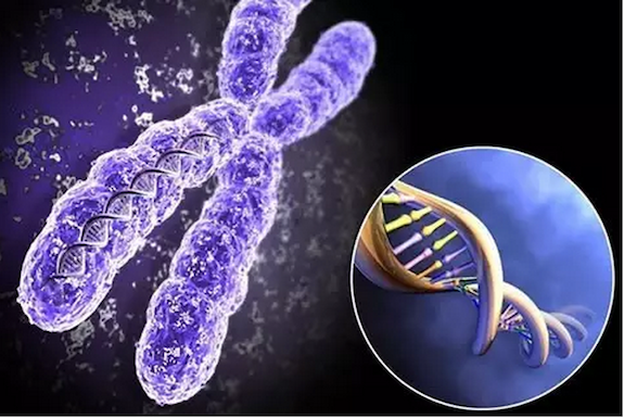 试管婴儿周期这么辛苦,千万不要让你的试管之路毁在这一步!