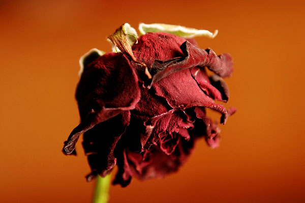 48岁可以做美国试管婴儿吗?