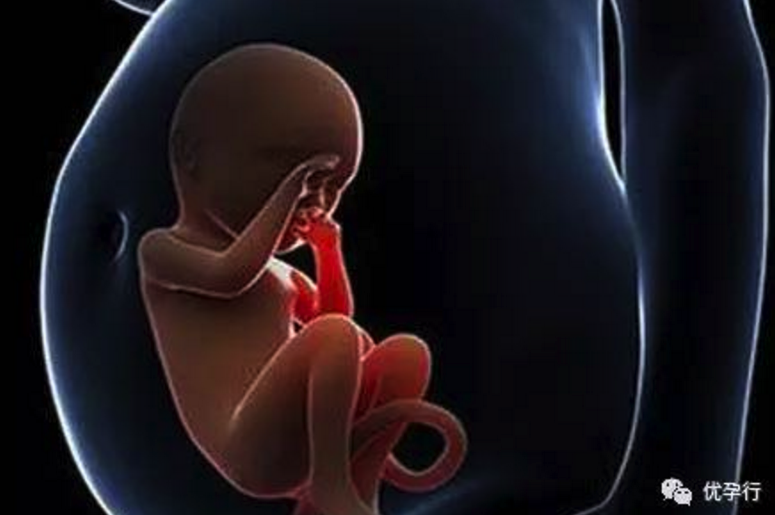 45岁还在等自然受孕,不是她不愿意做试管婴儿,因为她很在意这三件事!