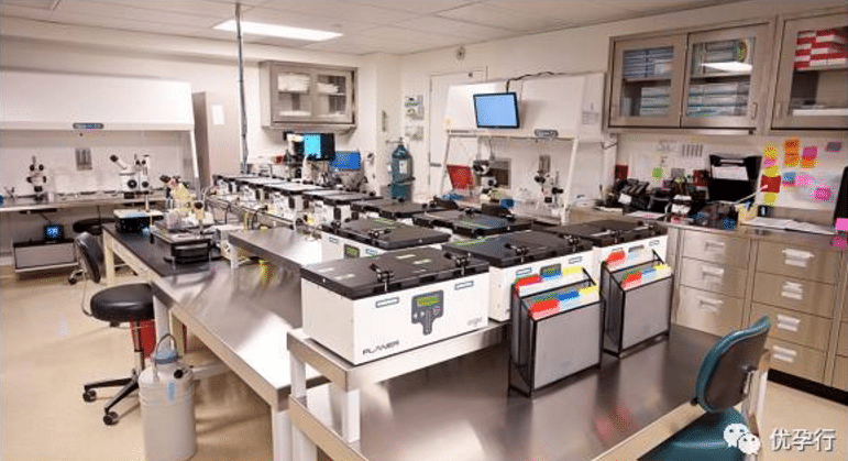 美国试管婴儿到底牛在哪?