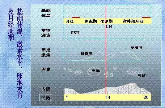 QQ图片20180116150138.png