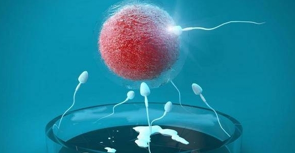 R-C (1).jpg
